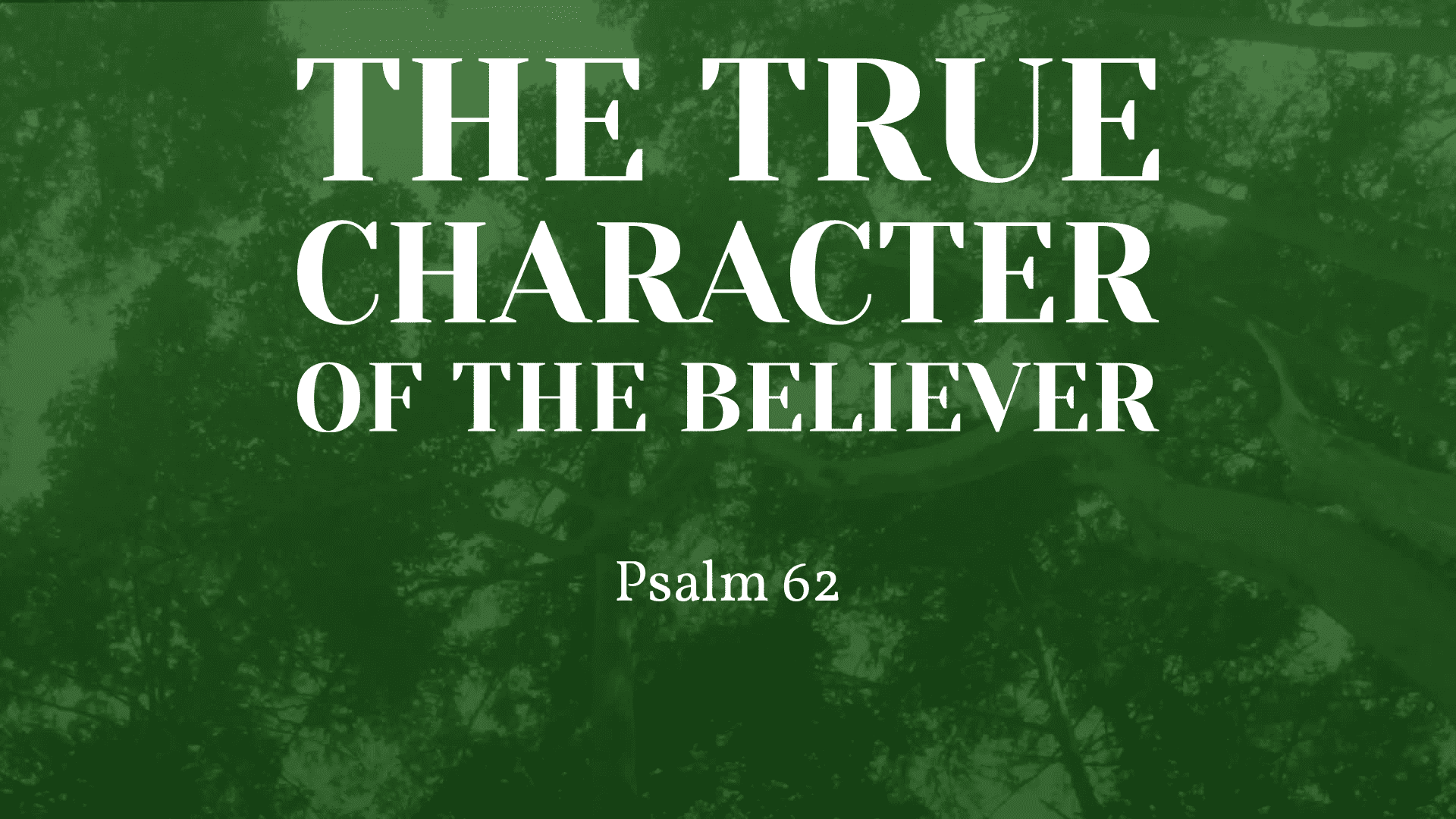 The True Character of The Believer