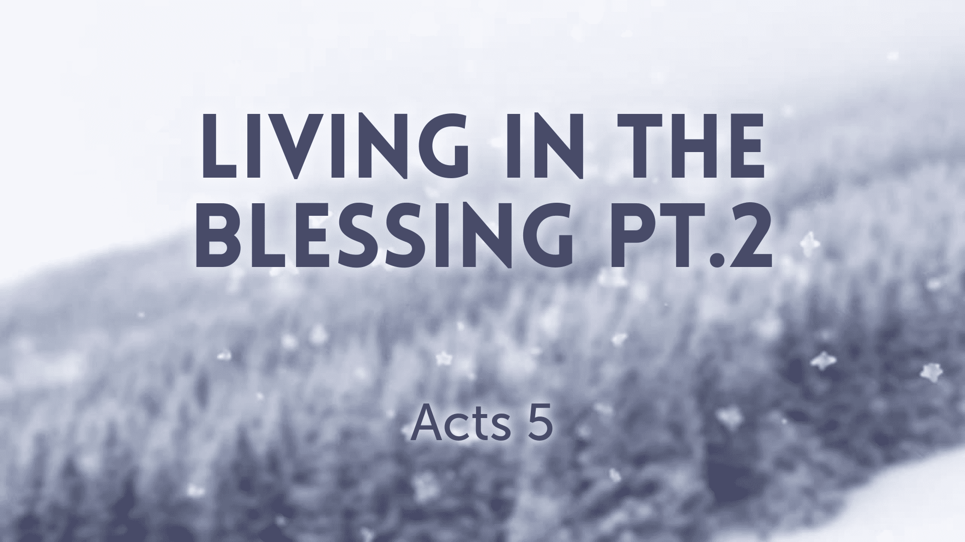 Living In The Blessing Pt.2