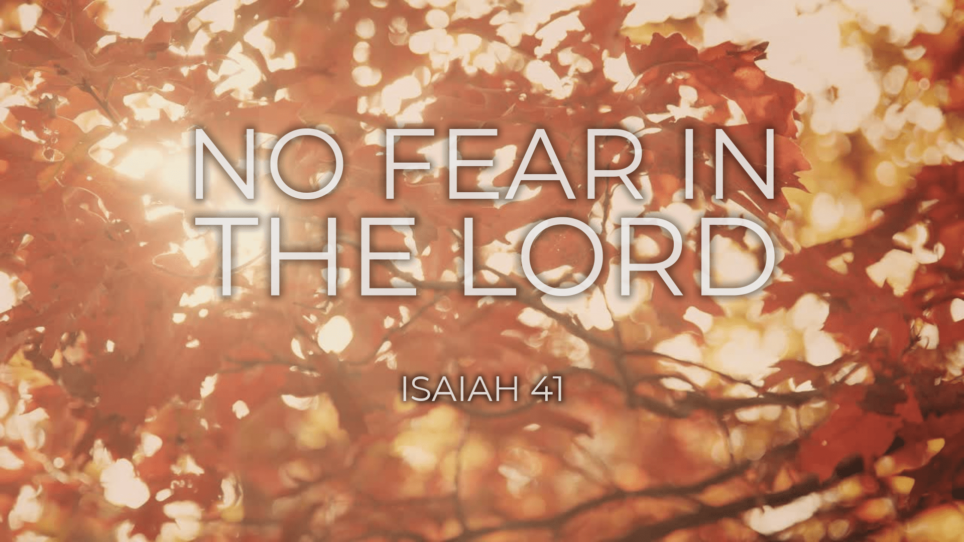 No Fear In The Lord