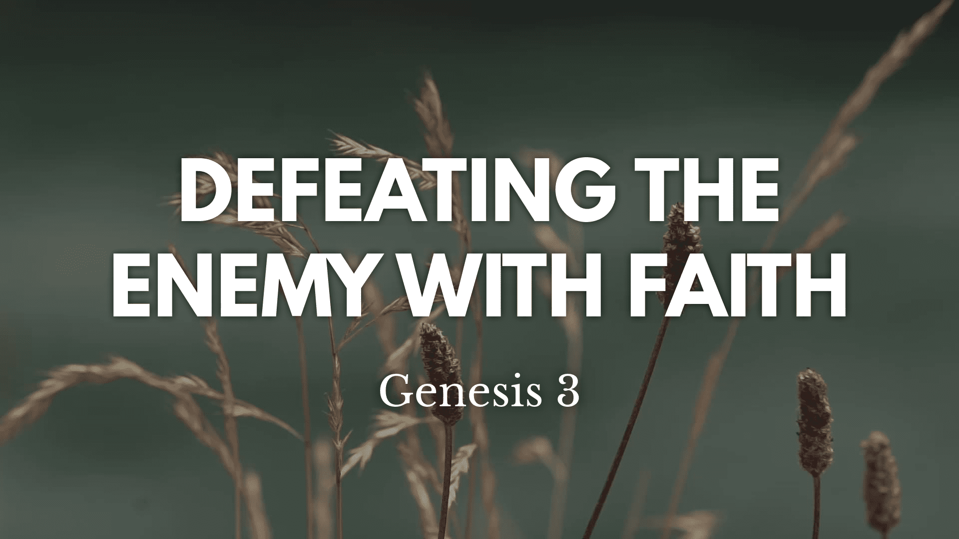 Defeating The Enemy With Faith