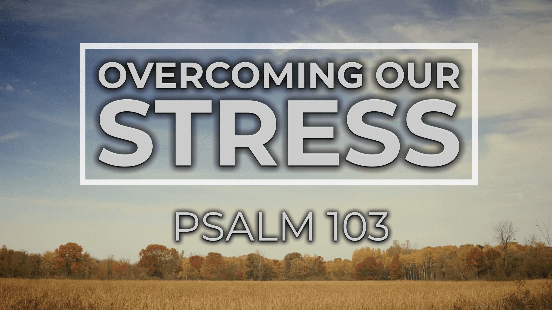 Overcoming Our Stress